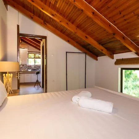 Apartament Ionian