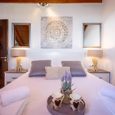 Apartament Ionian *